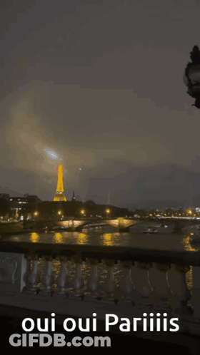 City With Oui Oui Pariiiis GIF