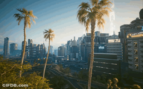 City With Palm Trees And Building Saying Stays GIF