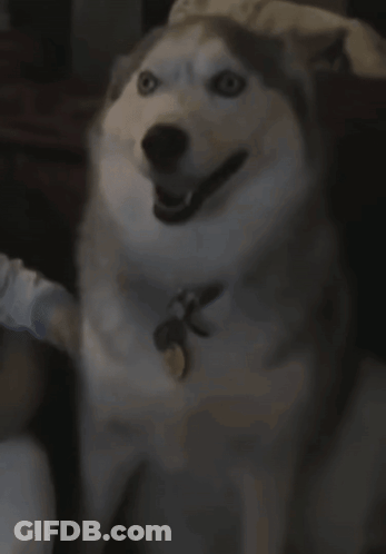 Clapping Hands Saying The Best GIF