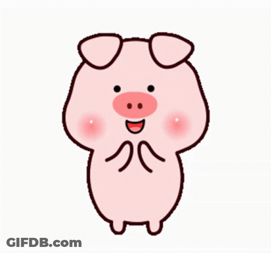 Clapping Pig Animation GIF