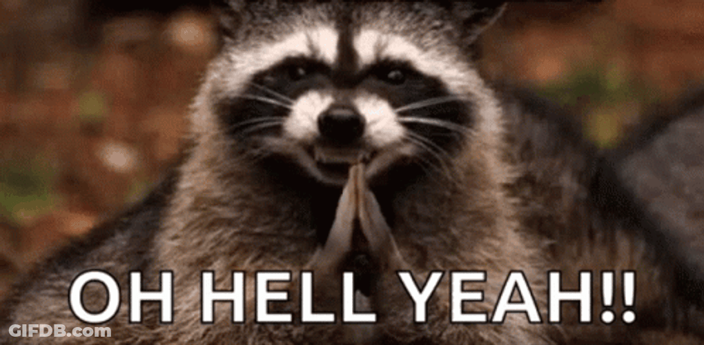Clapping Raccoon Oh Yeah Smile GIF