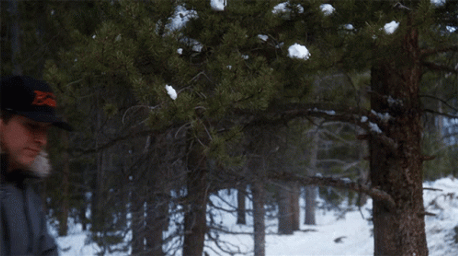 Clark Griswold There It Is GIF
