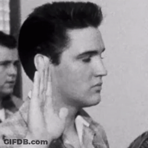 Classic Footage Elvis Swearing GIF