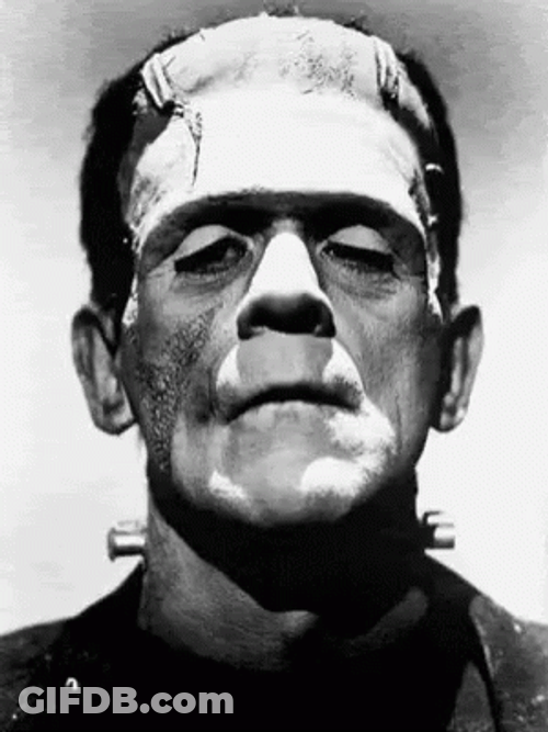 Classic Frankenstein Monster And Elizabeth Image GIF