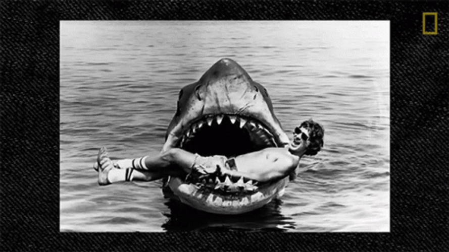 Classic Nat Geo Jaws GIF