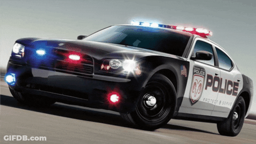 Classic Police Car Lights GIF