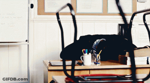 Classroom White Board Saying Homework GIF