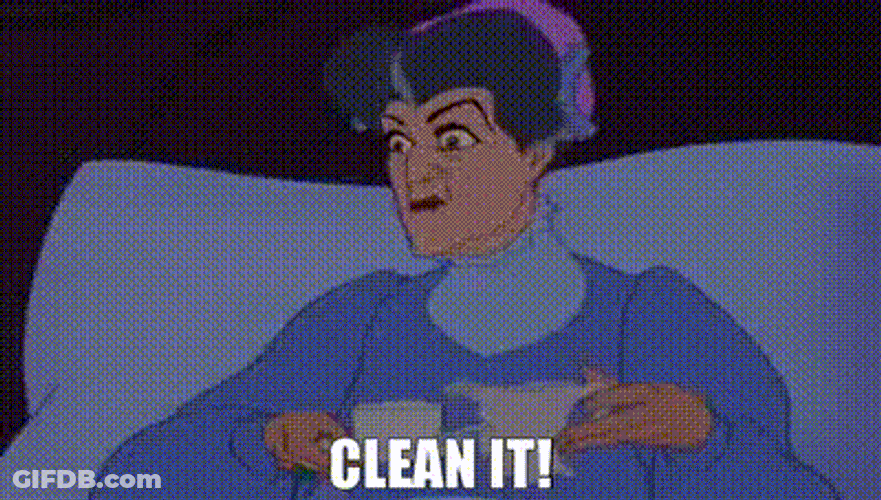 Clean It Cinderella GIF