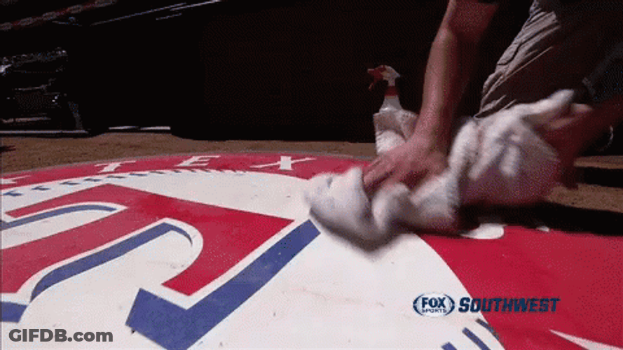 Cleaning Texas Rangers Logo GIF
