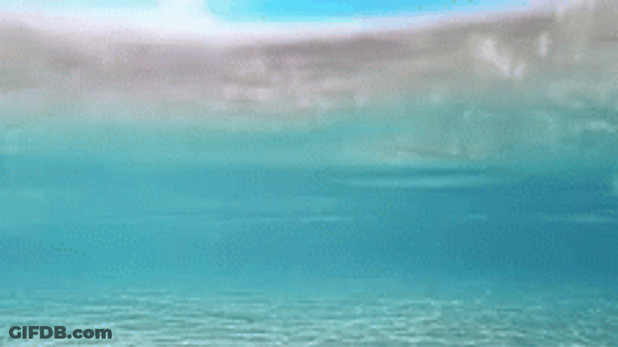 Clear Underwater Ocean Waves GIF