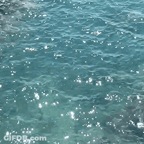 Clear Water Sparkling Waves GIF