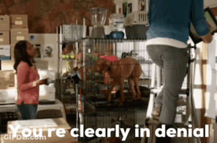 Clearly In Denial Putting Up Frames GIF