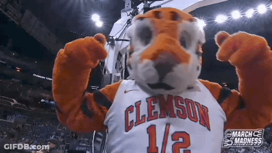 Clemson Mascot Clapping GIF