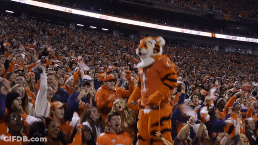 Clemson Mascot With Crowd Cheering GIF