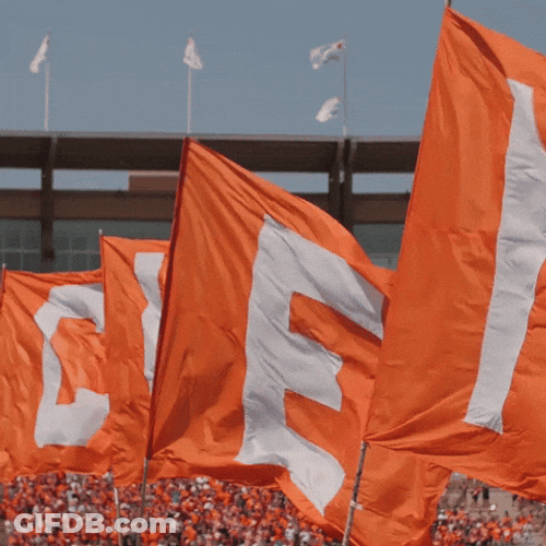 Clemson Orange Flag GIF
