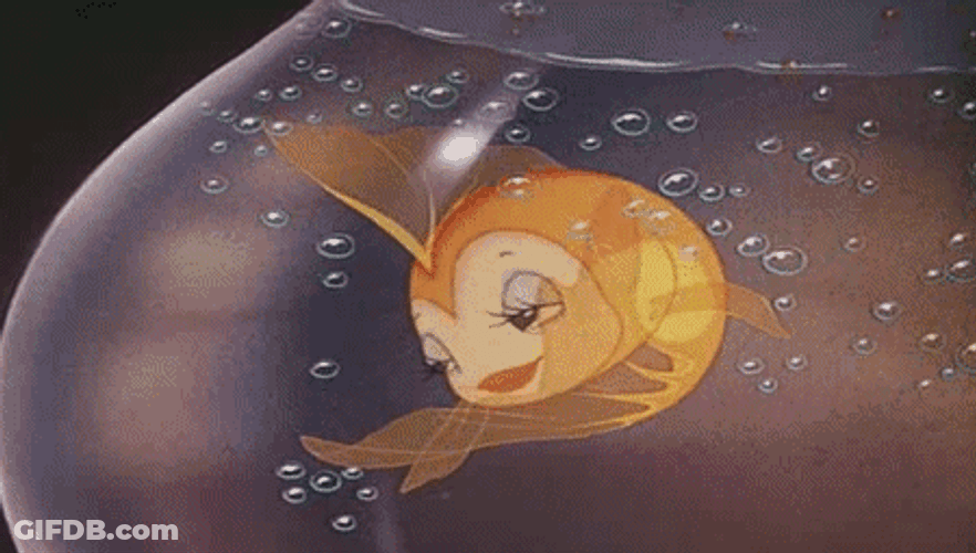 Cleo Fish Flirty Eyes GIF