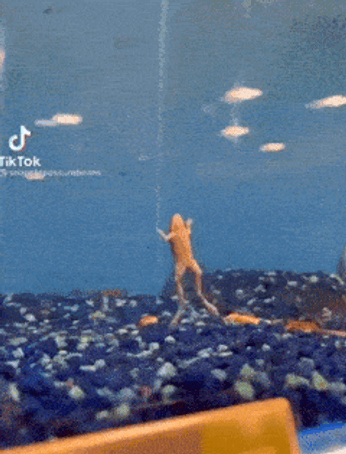 Cletustron GIF