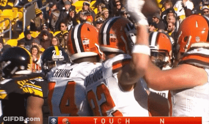 Cleveland Browns Gary Barnidge Touchdown GIF