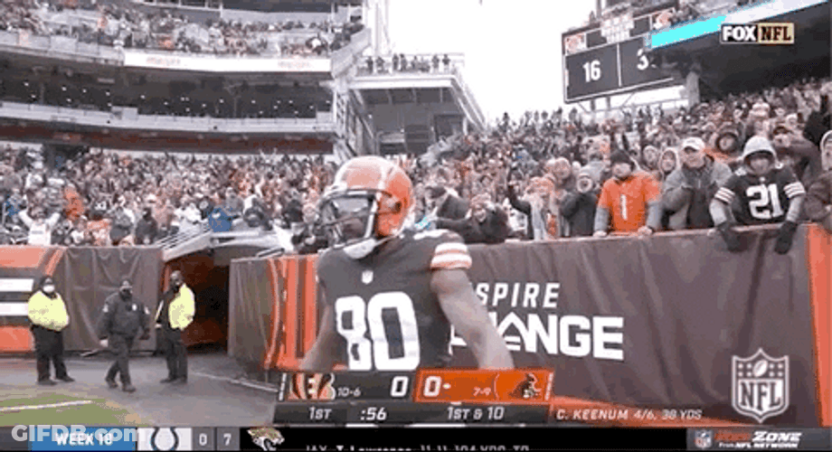 Cleveland Browns Jarvis Landry Touchdown GIF