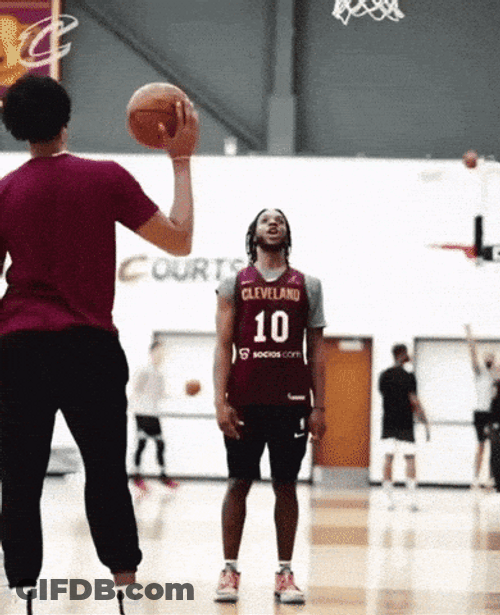 Cleveland Cavaliers Darius Garland Harlem GIF