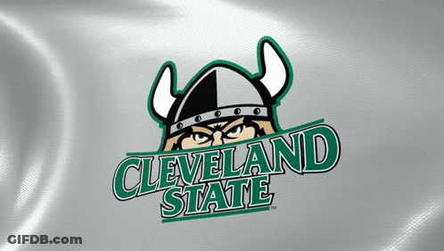 Cleveland State Logo Viking Helmet GIF