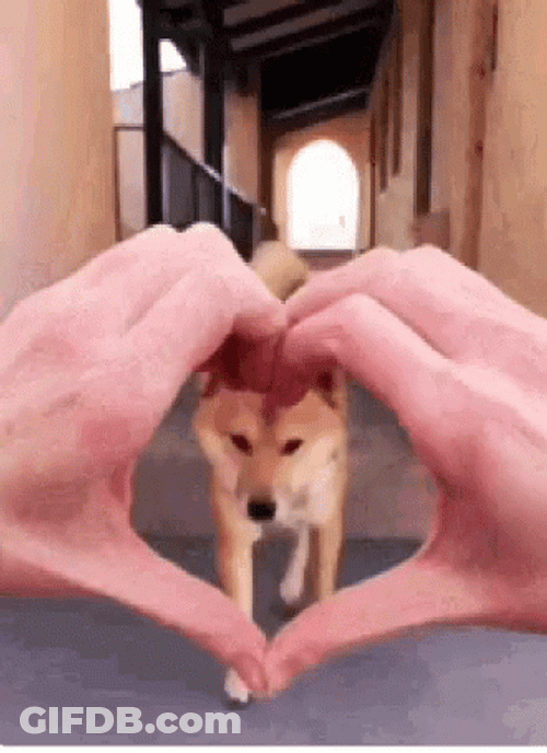 Clever Dog Smile Slipped Through Heart GIF