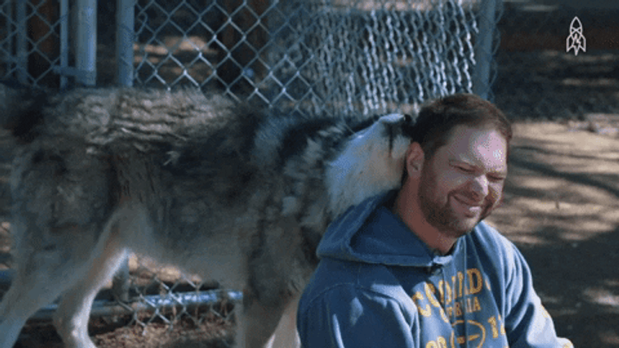 Clingy Ptsd Dog GIF