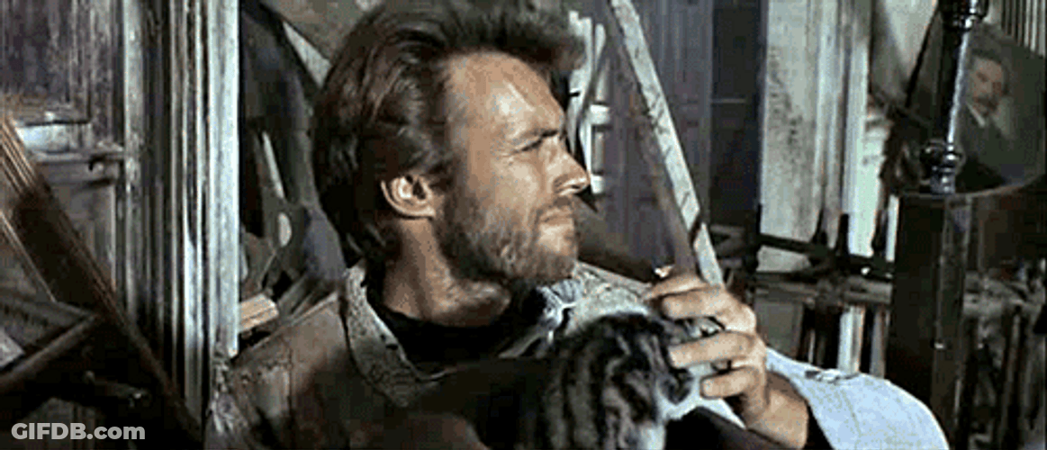 Clint Eastwood Pets Kitten GIF