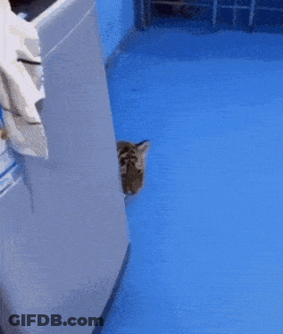 Close Up Angry Cartoon Tiger GIF