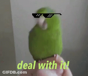 Close Up Bird Head With Long Beak And White Eyes GIF