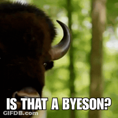 Close Up Bison Is That A Byeson GIF