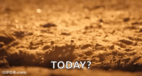Close-Up Bread Saying Today GIF