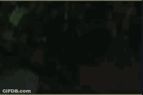 Close Up Cartoon Character With Mustache And Beard GIF