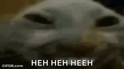 Close Up Cat Face Heh Heh Heeh GIF