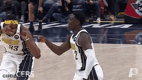 Close Up Cat Face Hop On Deep GIF