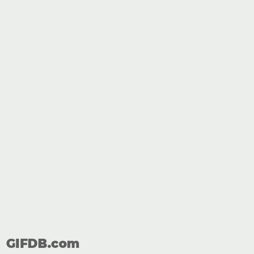 Close Up Cat Face GIF