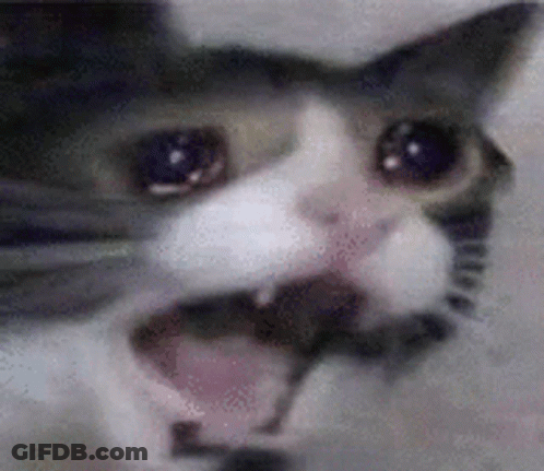 Close-Up Cat Face Mouth Open Eyes Closed GIF