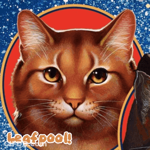 Close Up Cat Face With Leafpool GIF