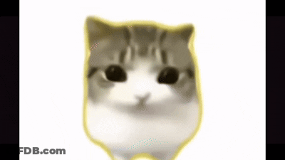Close Up Cat Face With Yellow Border GIF