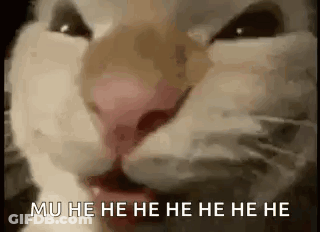 Close Up Cat Mu He He He He He He GIF