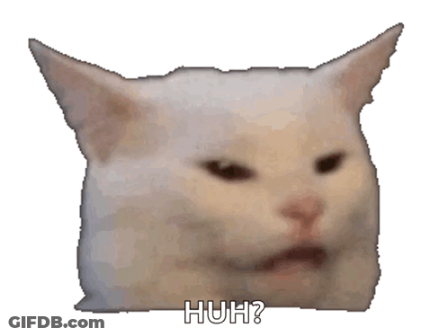 Close Up Cat Saying Huh GIF