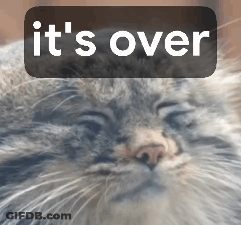 Close Up Cat Saying It's Over GIF