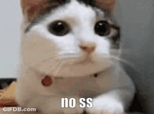 Close Up Cat Saying No Ss GIF