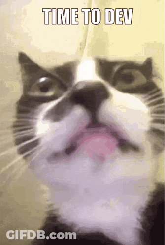 Close Up Cat Saying Time To Dev GIF