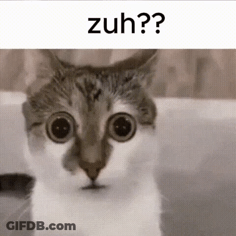 Close Up Cat Saying Zuh? GIF
