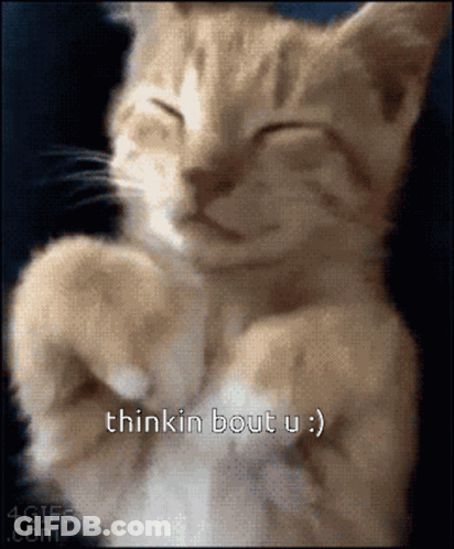 Close Up Cat Thinkin Bout U GIF