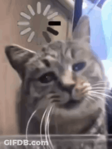 Close-Up Cat With Loading Screen GIF