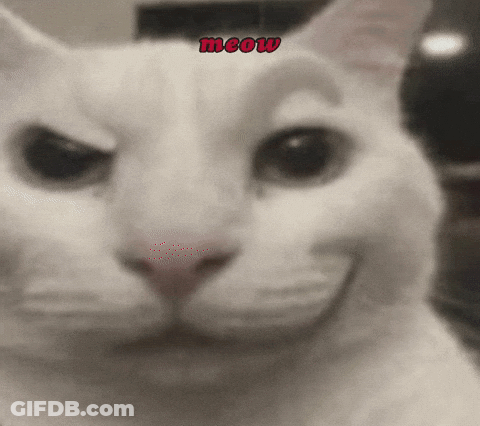 Close Up Cat With Red Meow GIF