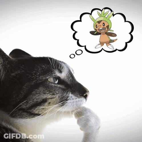 Close-Up Cat With Startamilchat.in GIF