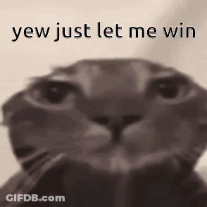 Close Up Cat Yaw Just Let Me Win GIF
